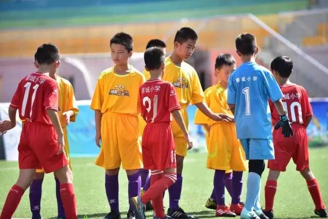 埃及用阵风实测中国歼-16整套战力